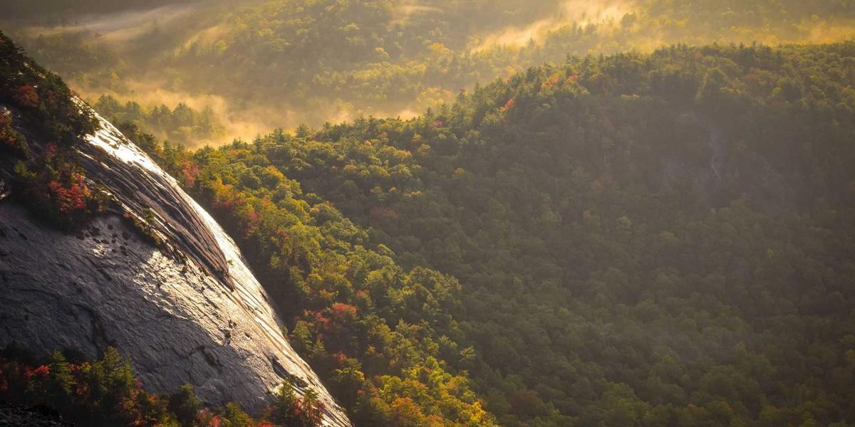 982-1200x600.jpg 982-1200x600.jpg