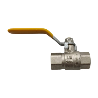 Stainless Steel Union